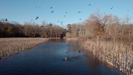 Hunting Property in Lauderdale County, Tennessee