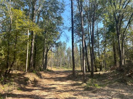Land in Copiah County, Mississippi