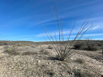 Farm and Ranch in Val Verde County, Texas