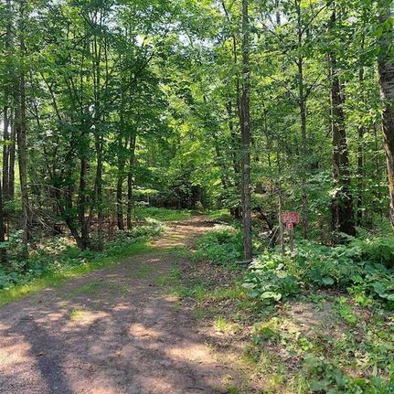 Undeveloped Land in Douglas County, Wisconsin