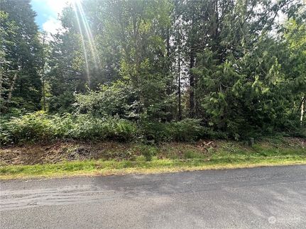 Undeveloped Land in Whatcom County, Washington