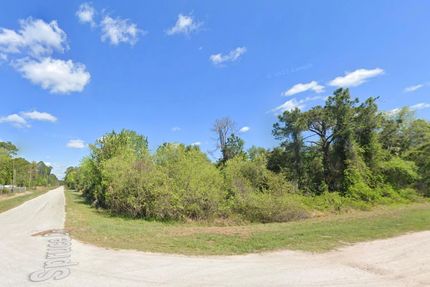 Undeveloped Land in Putnam County, Florida