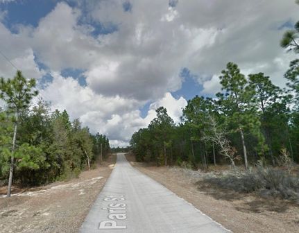 Undeveloped Land in Putnam County, Florida