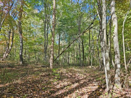 Undeveloped Land in Mingo County, West Virginia