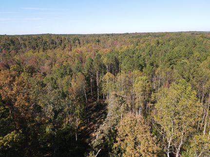 Farm and Ranch for sale in Henry County, Tennessee