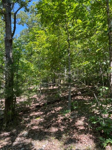 Recreational Property in Camden County, Missouri