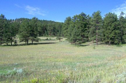 Farm and Ranch in Teller County, Colorado