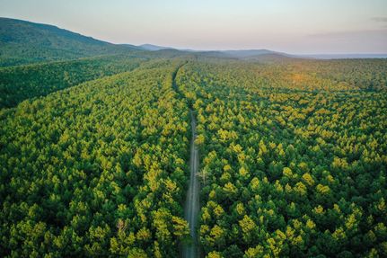 Timberland Property for sale in Scott County, Arkansas