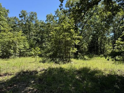 Hunting Property in Lamar County, Texas