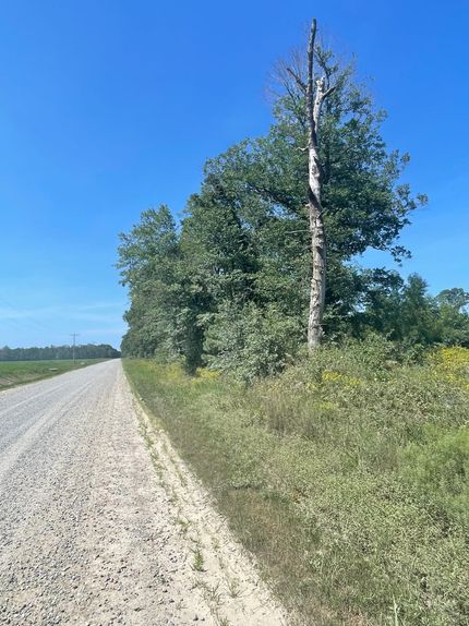 Land in White County, Arkansas