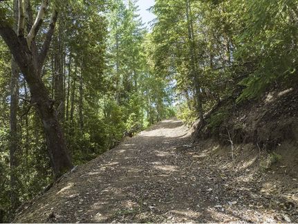 Undeveloped Land in Josephine County, Oregon