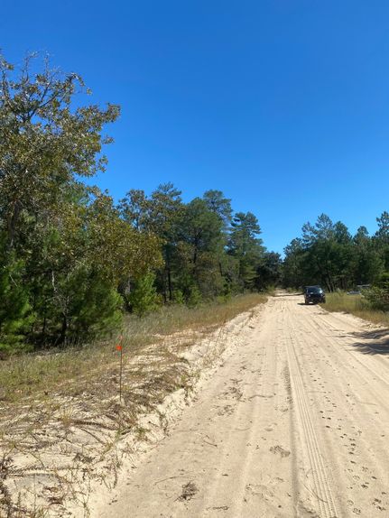 Undeveloped Land in Putnam County, Florida