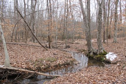 Timberland Property in Buckingham County, Virginia