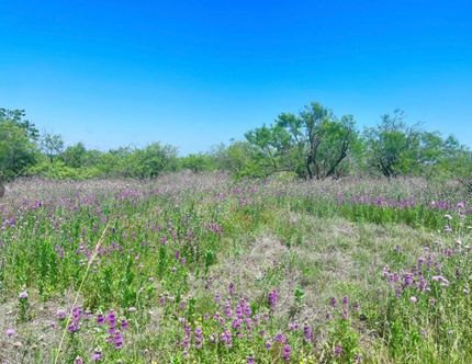 Undeveloped Land in Comanche County, Texas