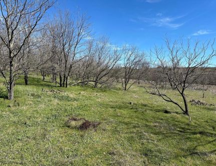 Land for sale in Comanche County, Texas