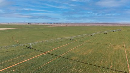 Farm and Ranch for sale in Cochran County, Texas
