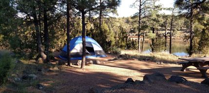 Undeveloped Land in Apache County, Arizona