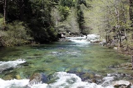 Riverfront Property in Alpine County, California