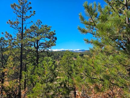 Undeveloped Land in Las Animas County, Colorado