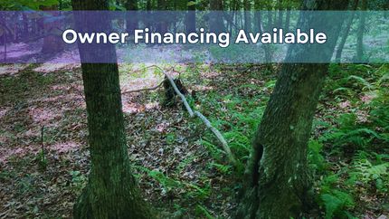 Hunting Property in Ashe County, North Carolina