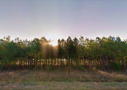 Land in San Jacinto County, Texas