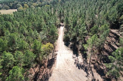 Undeveloped Land for sale in Rusk County, Texas