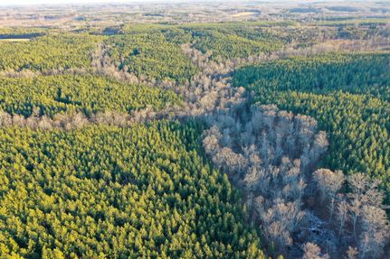 Timberland Property for sale in Halifax County, Virginia