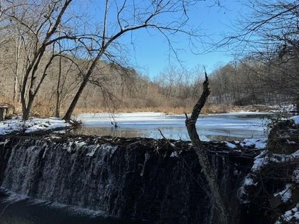 Undeveloped Land in Buckingham County, Virginia