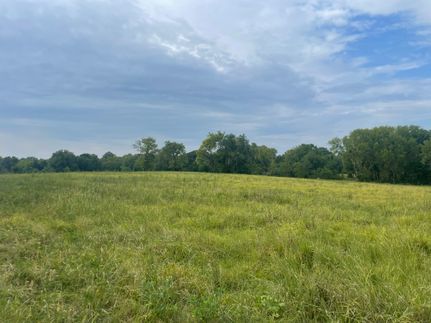 Undeveloped Land in Lowndes County, Alabama
