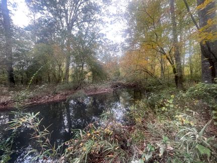 Land in Pike County, Georgia