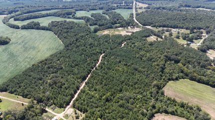 Undeveloped Land in Cherokee County, Alabama