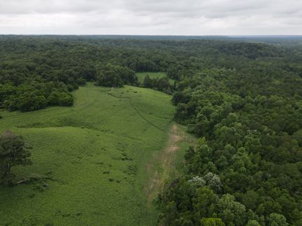 Hunting Property in Dale County, Alabama