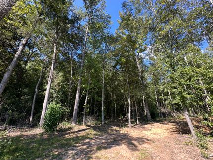 Land in Autauga County, Alabama