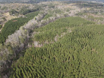 Timberland Property in Crenshaw County, Alabama
