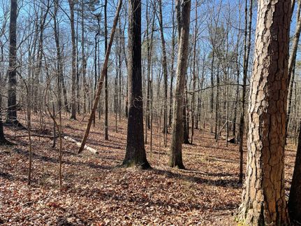 Undeveloped Land in Cleburne County, Alabama