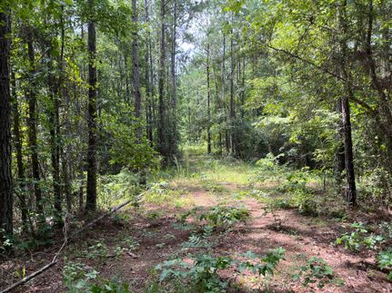 Recreational Property in Greene County, Alabama