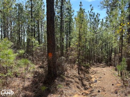 Recreational Property in Bibb County, Alabama