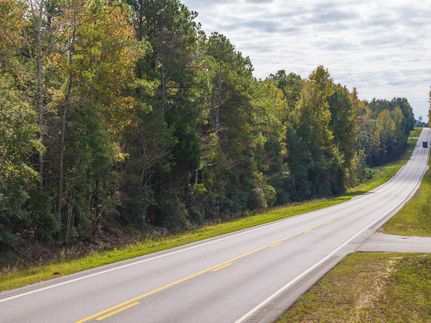 Undeveloped Land in Barbour County, Alabama