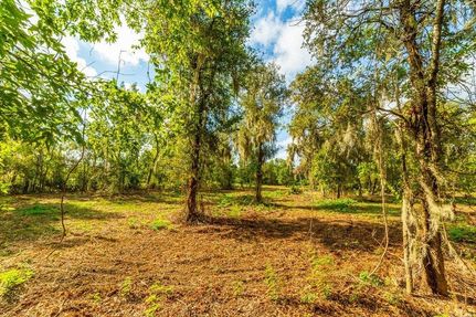 Timberland Property for sale in Brazoria County, Texas