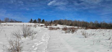 Hunting Property in Chenango County, New York