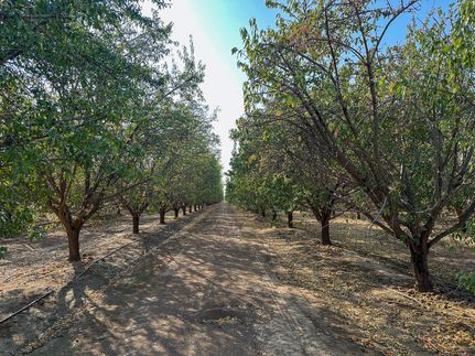 Farm and Ranch for sale in Kern County, California