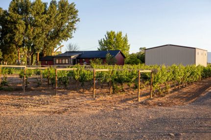 Farm and Ranch in Montrose County, Colorado