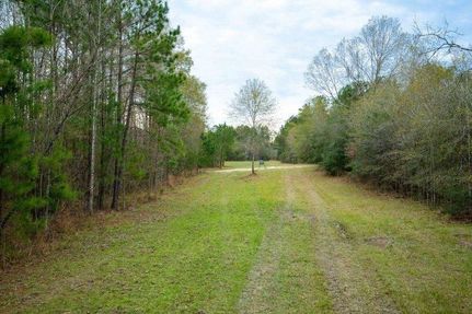 Land in Allen Parish, Louisiana