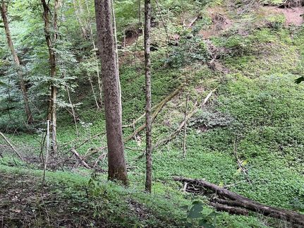 Hunting Property in Allegheny County, Pennsylvania