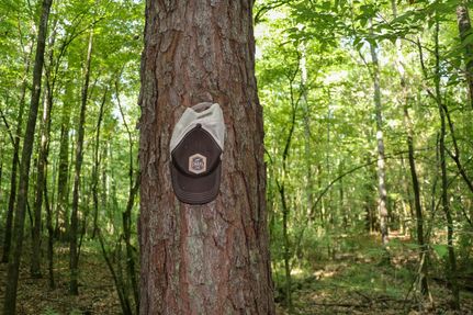 Land in Attala County, Mississippi