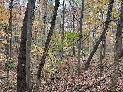 Land in Scioto County, Ohio