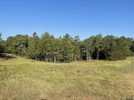 Undeveloped Land in Smith County, Texas