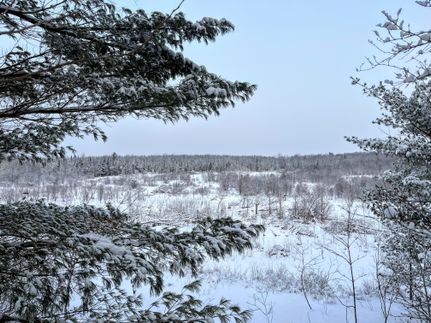 Farm and Ranch in Jefferson County, New York