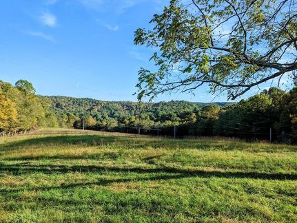 Undeveloped Land in Floyd County, Virginia