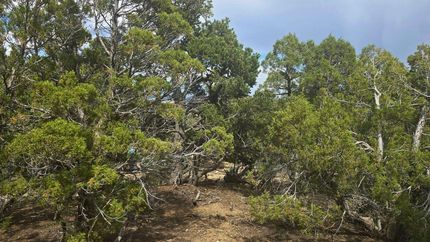 Riverfront Property for sale in Duchesne County, Utah